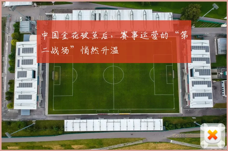 中国金花破茧后，赛事运营的“第二战场”悄然升温