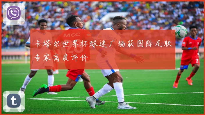 卡塔尔世界杯球迷广场获国际足联专家高度评价