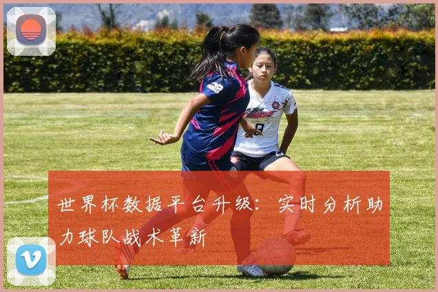 世界杯数据平台升级：实时分析助力球队战术革新